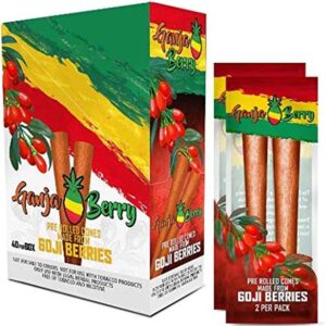 Goji Berry Cones 2pk Goji Berry Orignal