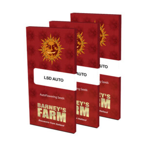 Barney's Farm 3pk Seeds